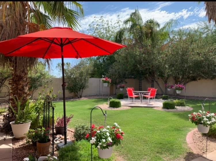 Backyard lawn with a red patio umbrella, flower beds and palm trees