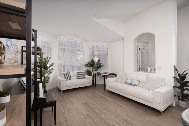Sitting room with a white sofa, potted palms and a sunny window