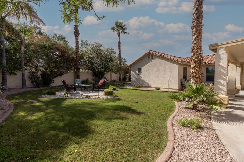 Side garden with a lawn, palm trees and a paved walkway